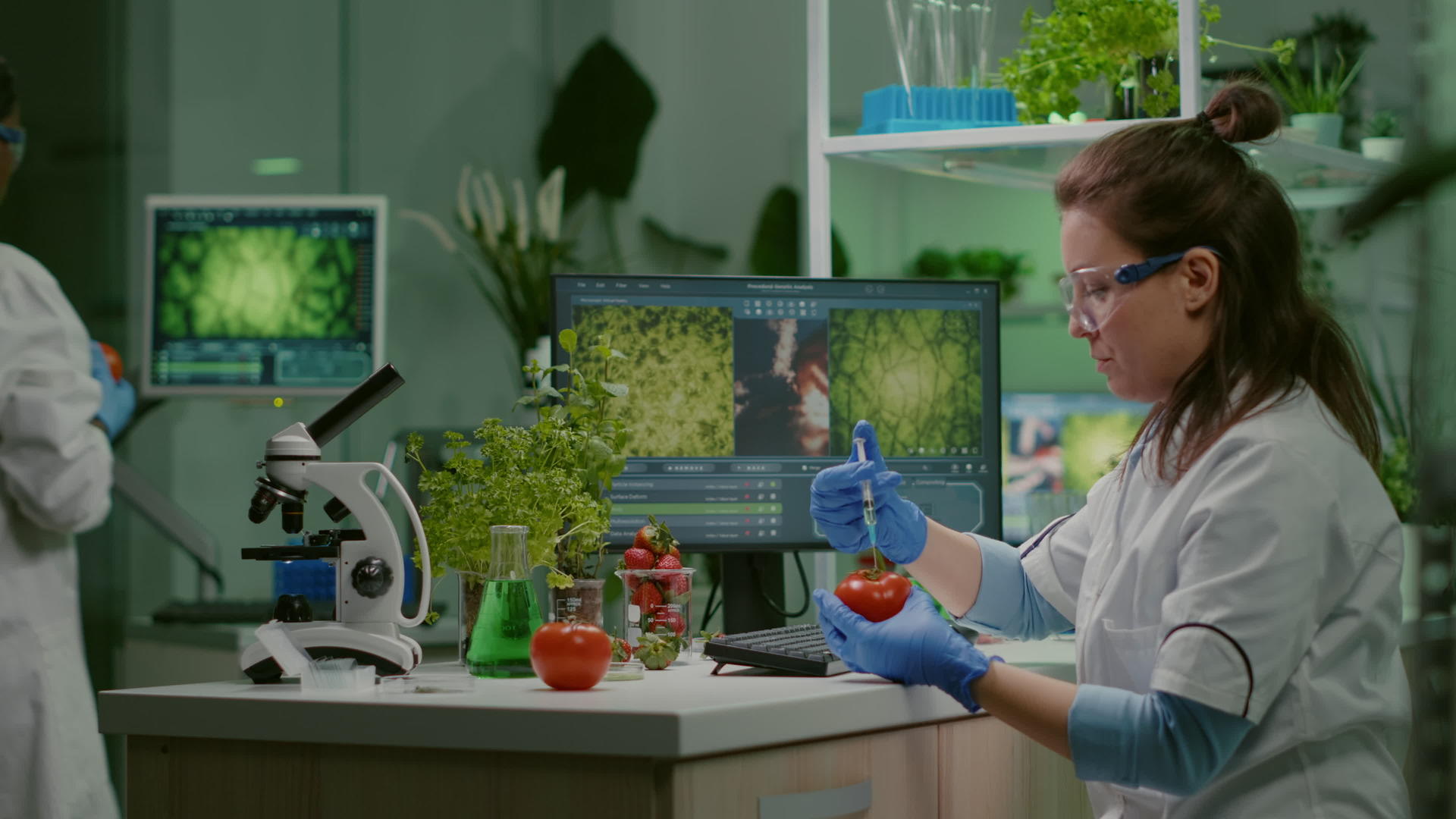 科学家化学家用医学注射器注射番茄和杀虫剂视频的预览图