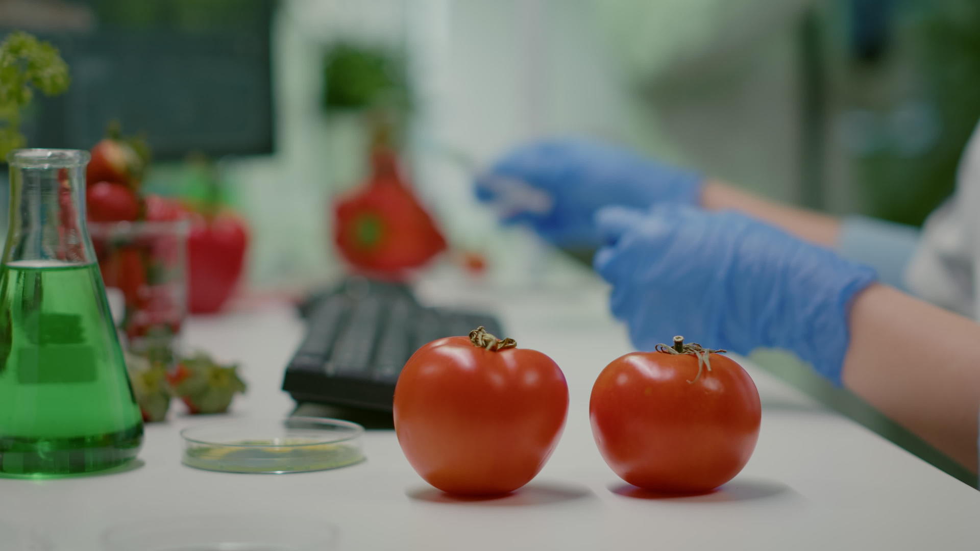 用医疗注射器向科学家注射西红柿和遗传液的结关问题视频的预览图