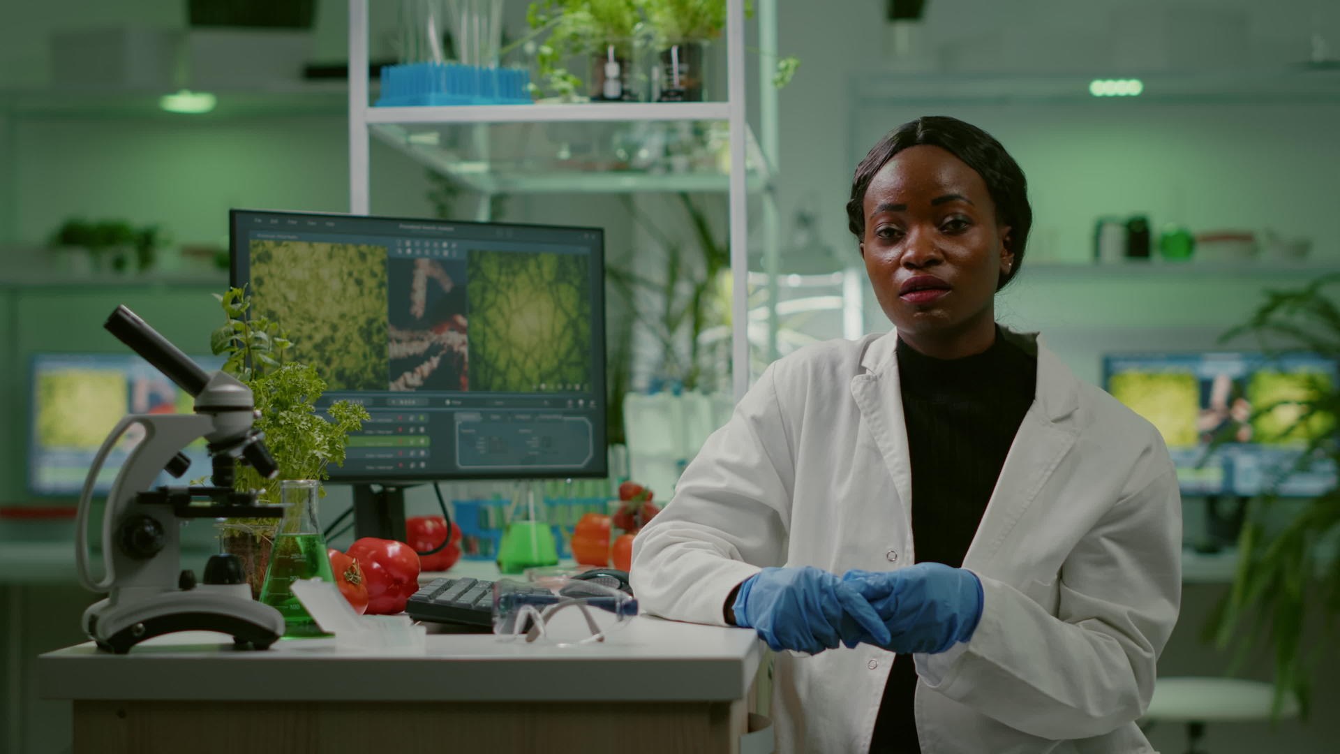 植物学家在在线视频通话中解释了植物学视频的预览图