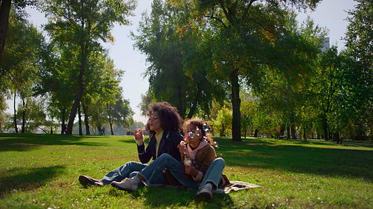 快乐的家庭坐在毯子上在阳光明媚的公园里吹肥皂泡视频的预览图