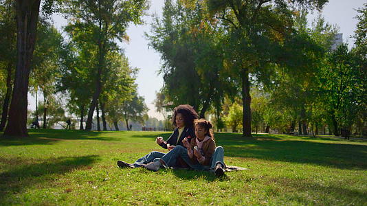快乐的妈妈坐在毯子上在阳光明媚的公园里吹肥皂泡视频的预览图