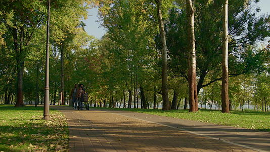 温暖的秋日里田园诗般的家庭步行公园视频的预览图