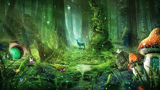 梦幻童话般唯美森林动态背景视频元素视频的预览图