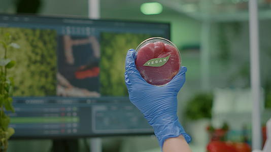 化学家素食牛肉样本紧紧地握在手中视频的预览图