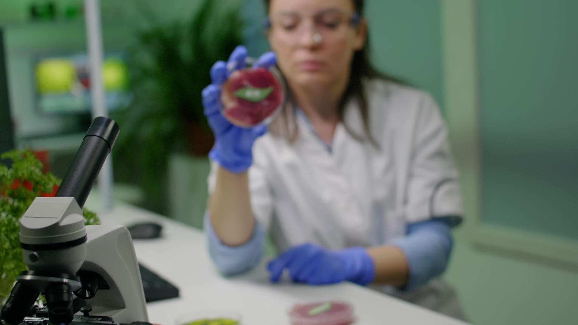 女科学家研究素食牛肉的生物化学实验视频的预览图