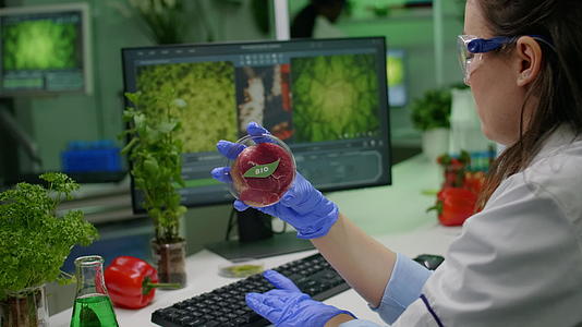化学研究人员拿着一盘花生菜和素食肉视频的预览图