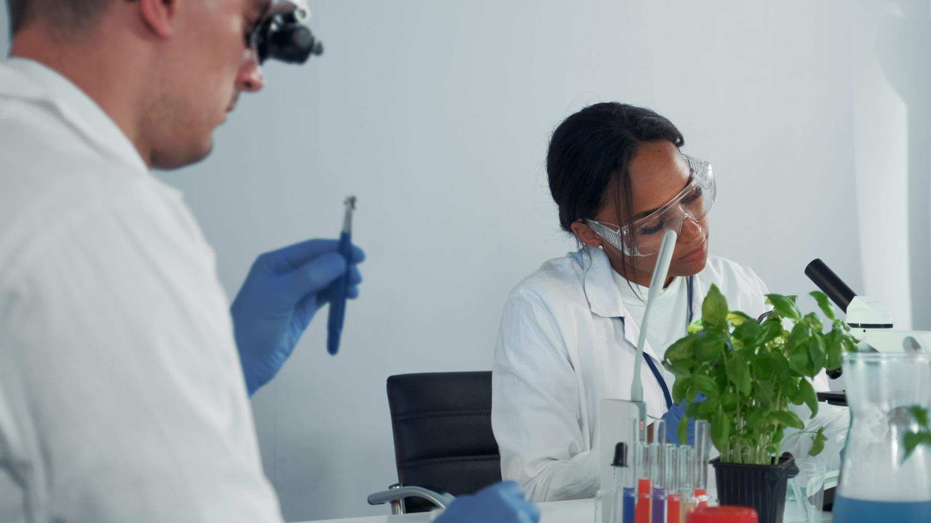 女性微生物学家使用安全眼镜检查显微镜下的植物叶子视频的预览图