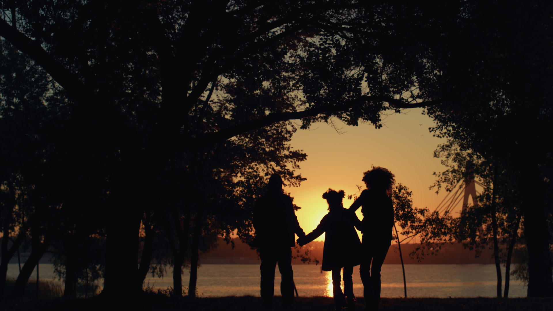 快乐的家庭剪影一起走日落公园视频的预览图