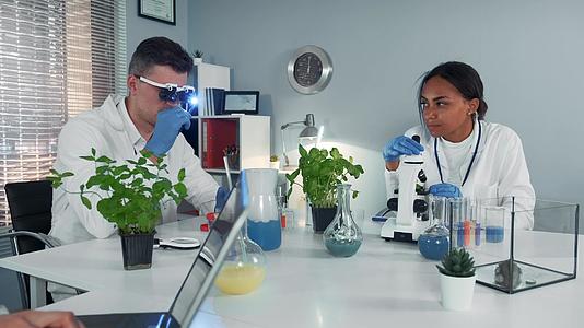 两位科学家在现代化学实验室的工作过程视频的预览图