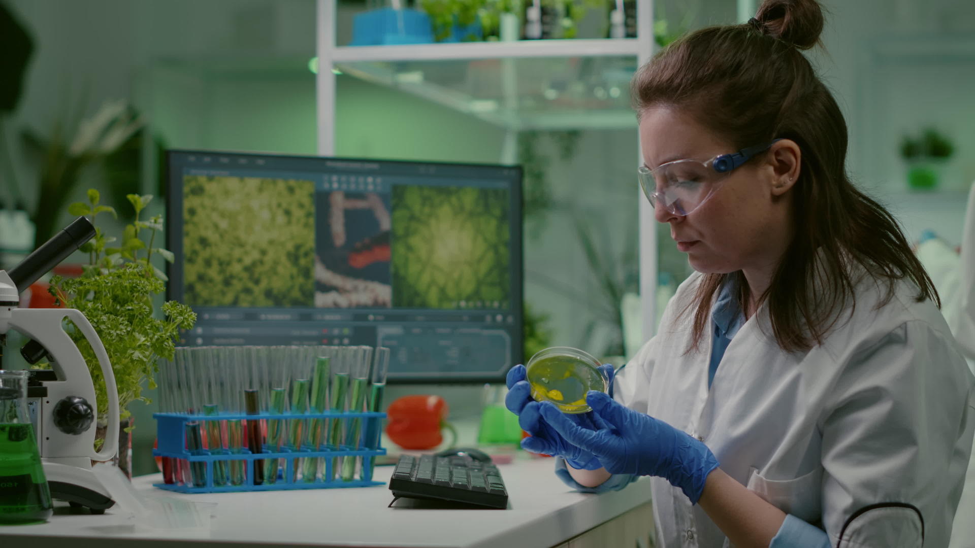 制药研究人员分析用花生菜测试溶液视频的预览图