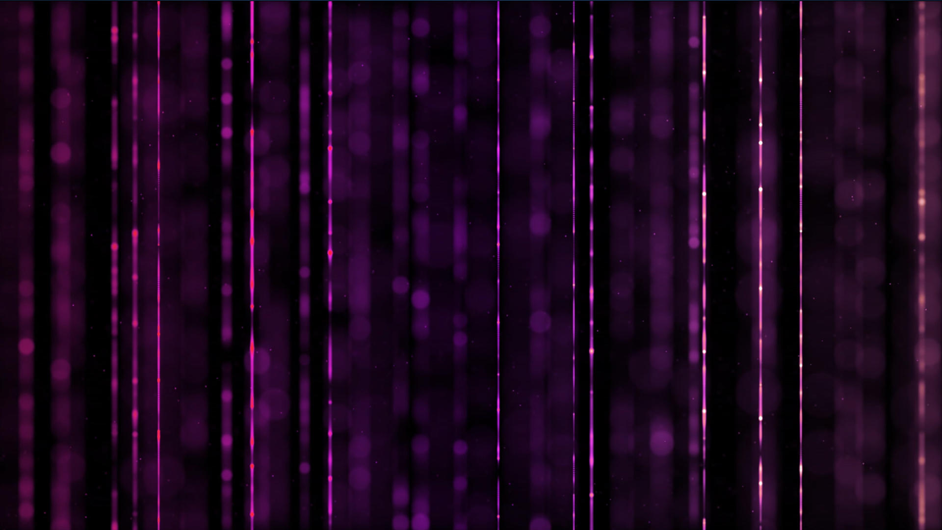 紫色粒子线条背景元素带透明度通道视频的预览图