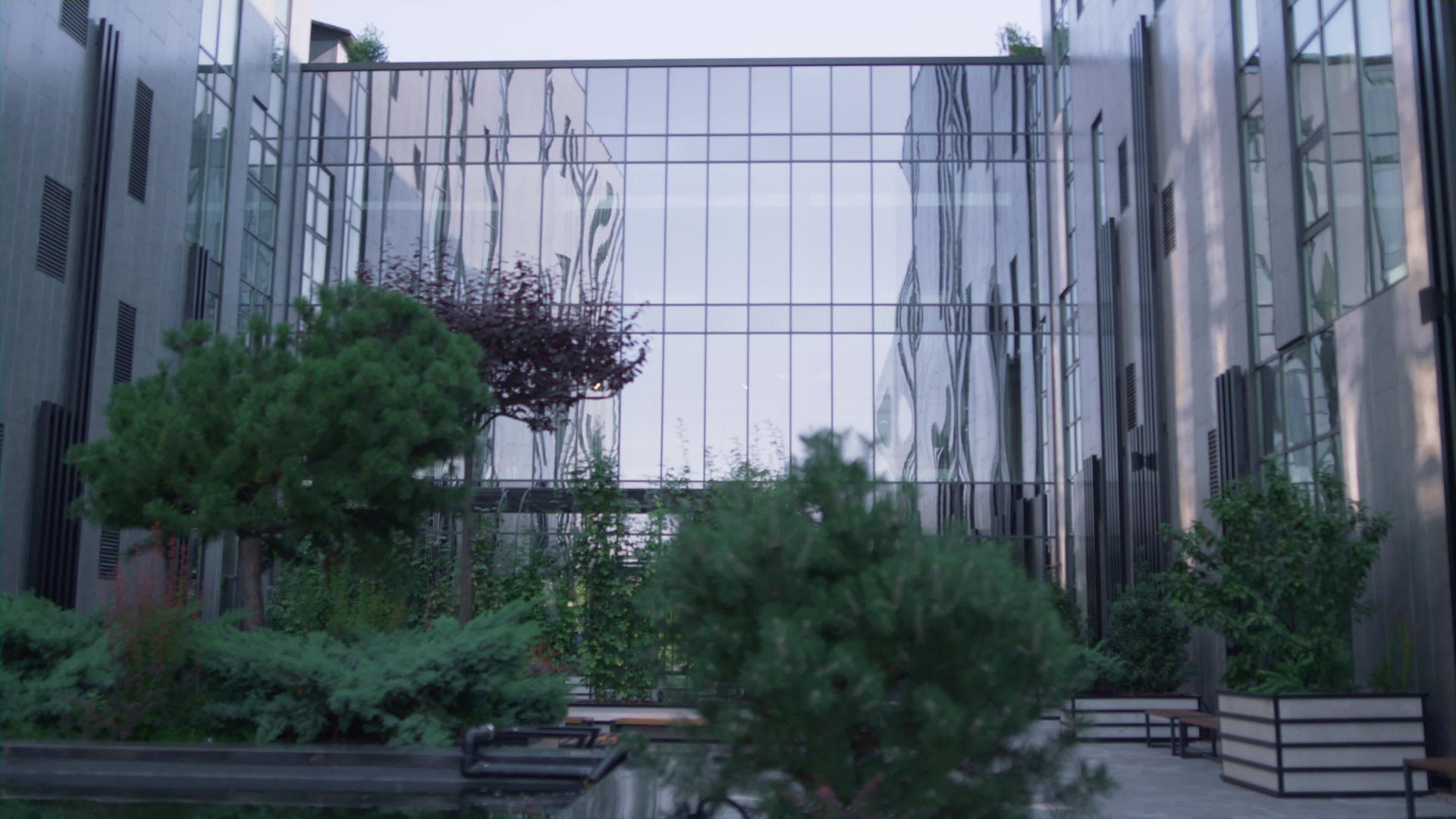 整洁的花园现代市中心区玻璃建筑视频的预览图