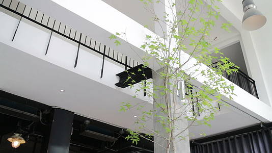 绿树竹锅室内生态设计视频的预览图