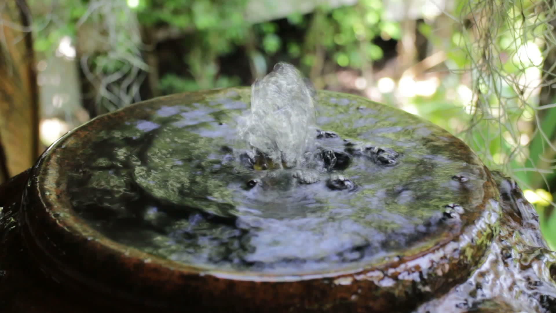 家庭花园用喷泉水罐装饰视频的预览图