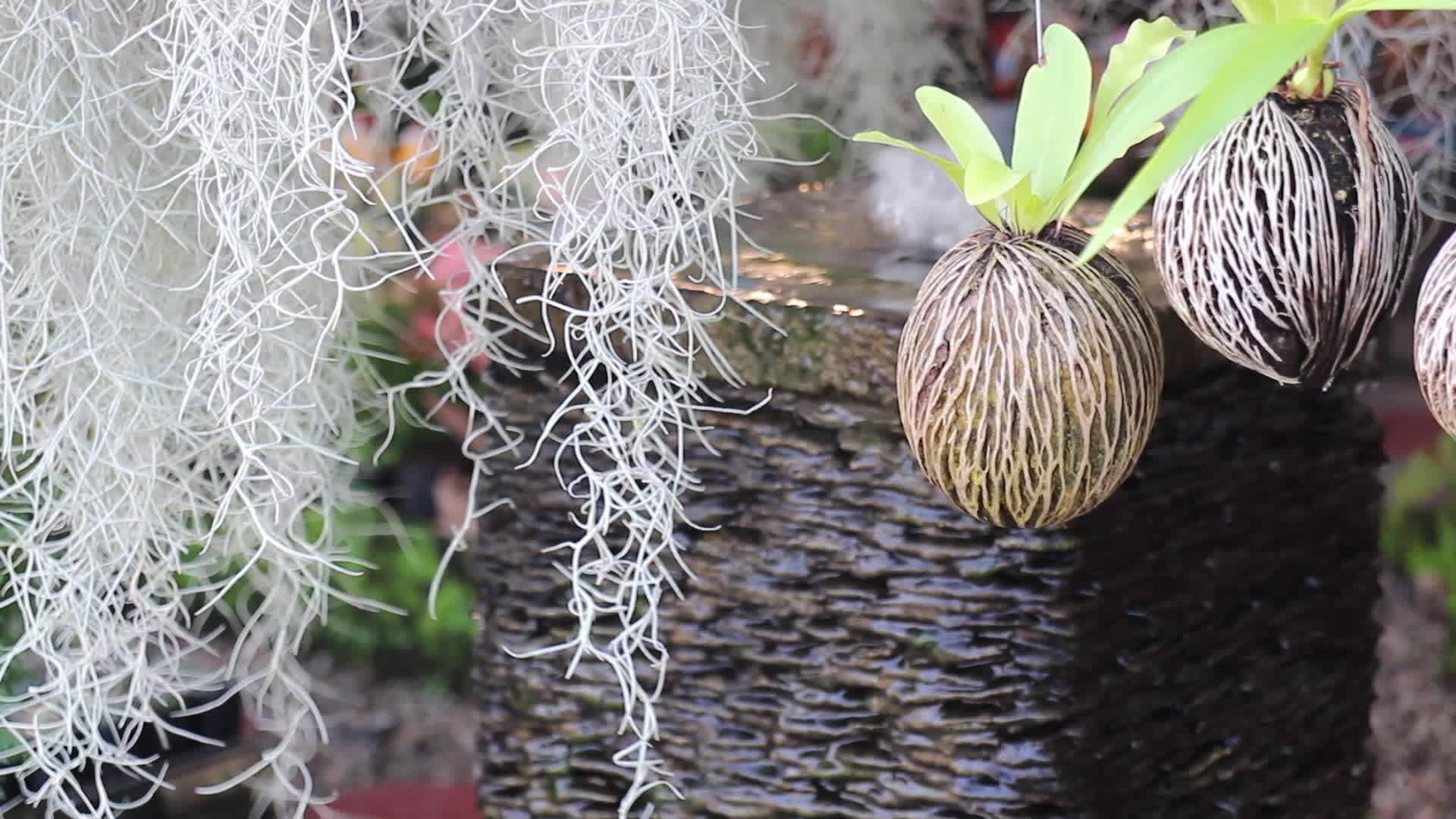 带水流的家庭花园装饰视频的预览图