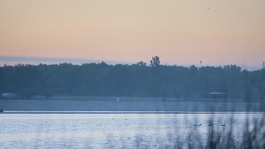 日落前的粉红天空公园池塘视频的预览图
