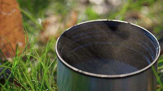 热饮金属杯站在绿色森林草坪上阳光明媚的秋日特写视频的预览图