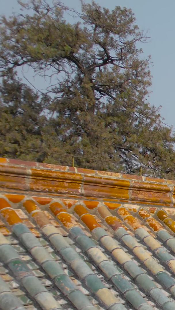 曲阜三孔庙大成殿5A景区航拍视频视频的预览图
