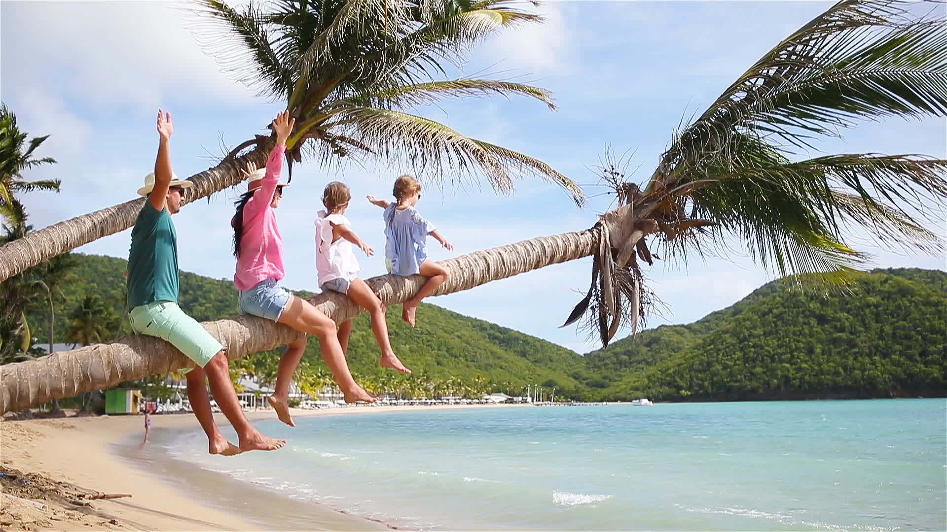 年轻的家庭在棕榈树上有很多乐趣视频的预览图