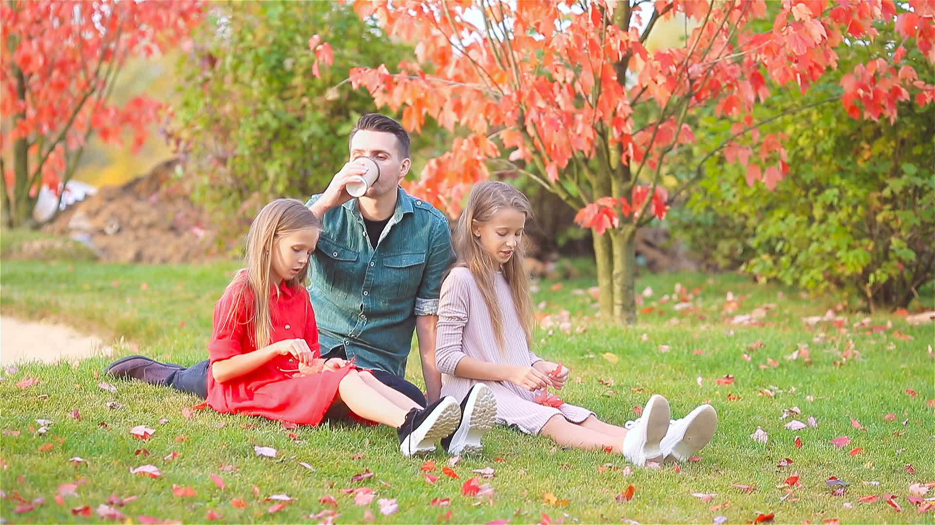 父亲和孩子的家在公园里美丽的秋天视频的预览图