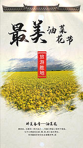 最美春季油菜花节旅游视频海报视频的预览图
