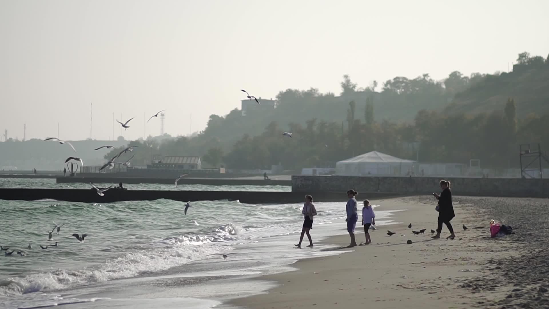2018年10月人们在荒凉的海滩上喂海鸥乌克兰黑海视频的预览图