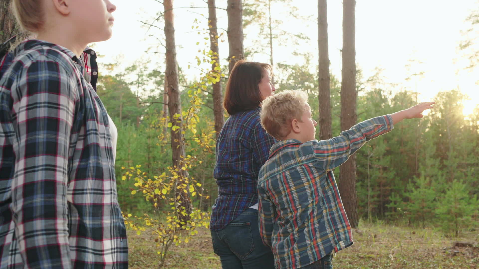 有两个孩子的家庭在美丽的森林里行走视频的预览图