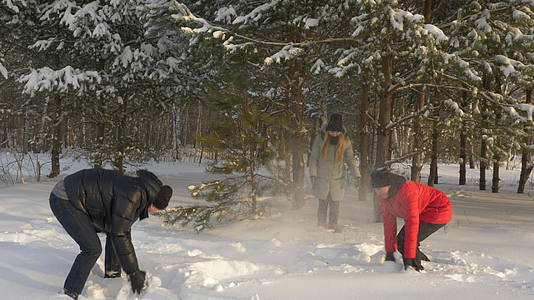 在冬季松林雪球比赛中视频的预览图
