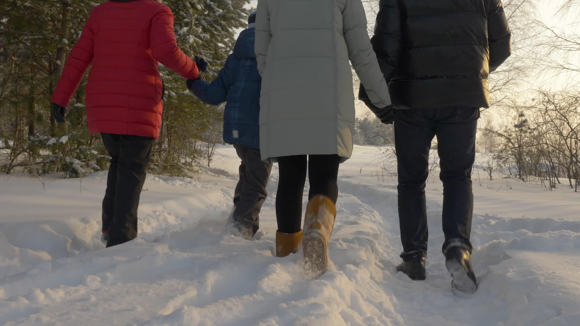 冬天一家人在公园散步视频的预览图