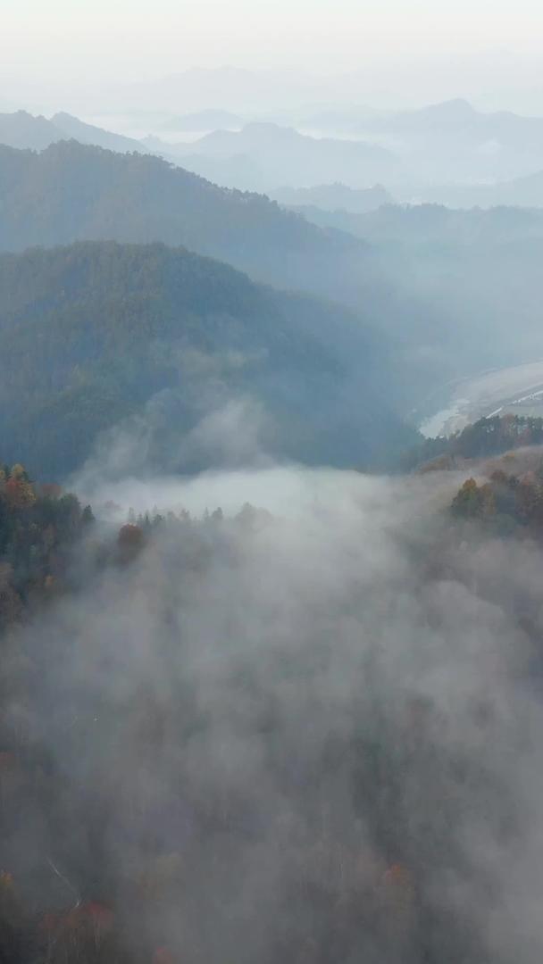 航拍安徽黄山山区晨雾视频视频的预览图