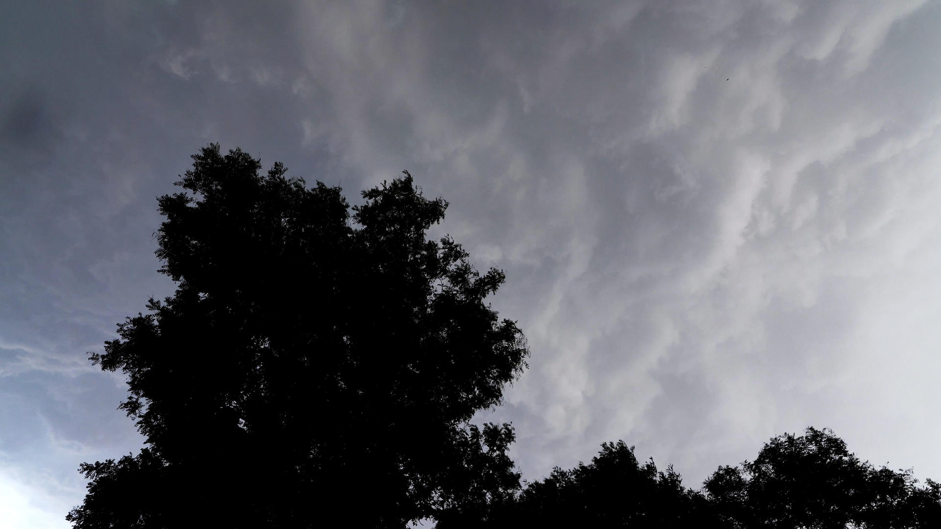 4K实拍天气暴风雨视频的预览图