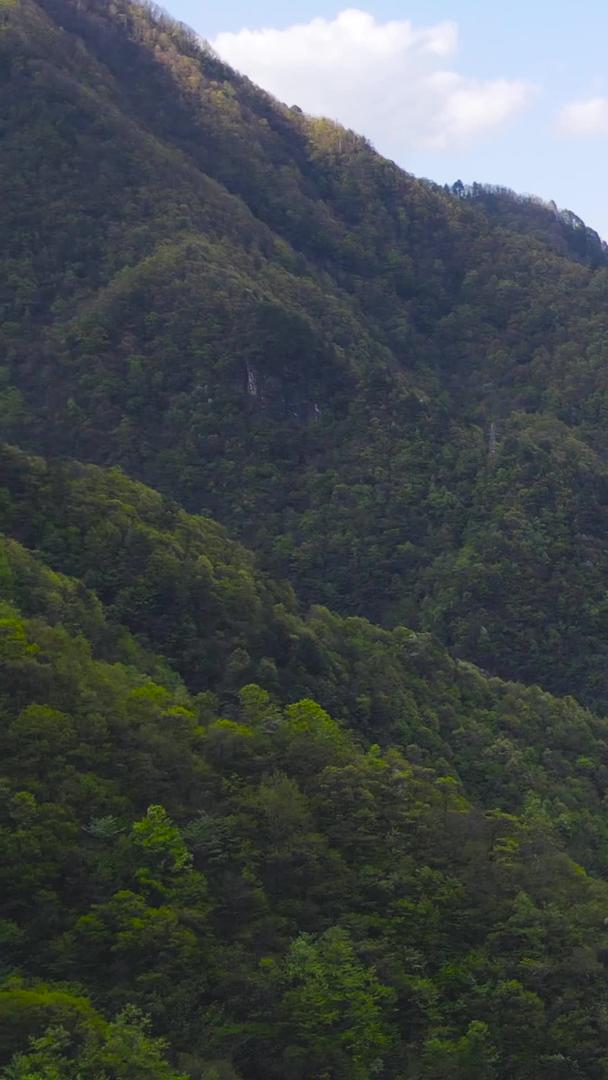 5A景区神农架原始森林航拍延时集合视频的预览图