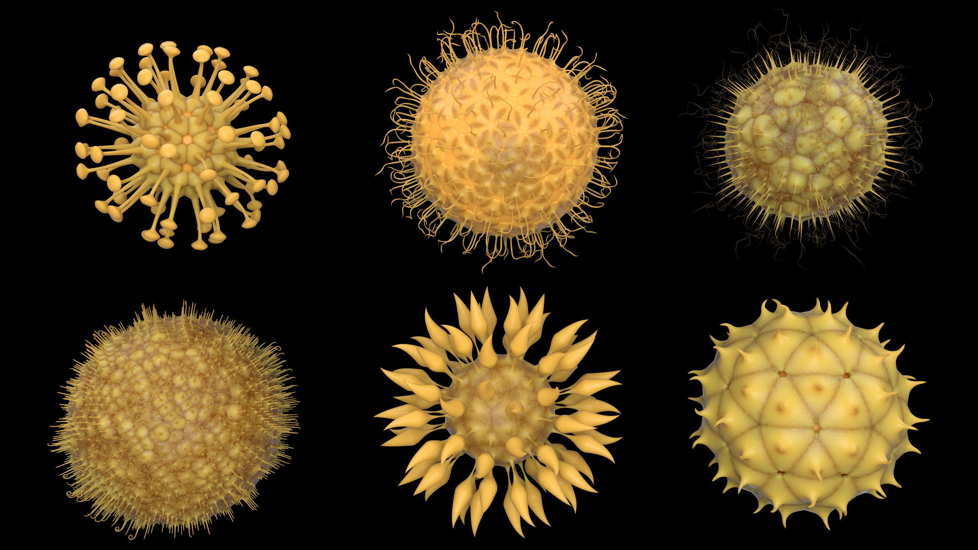 6大类型病毒三维模型写实特写旋转展示动视频的预览图