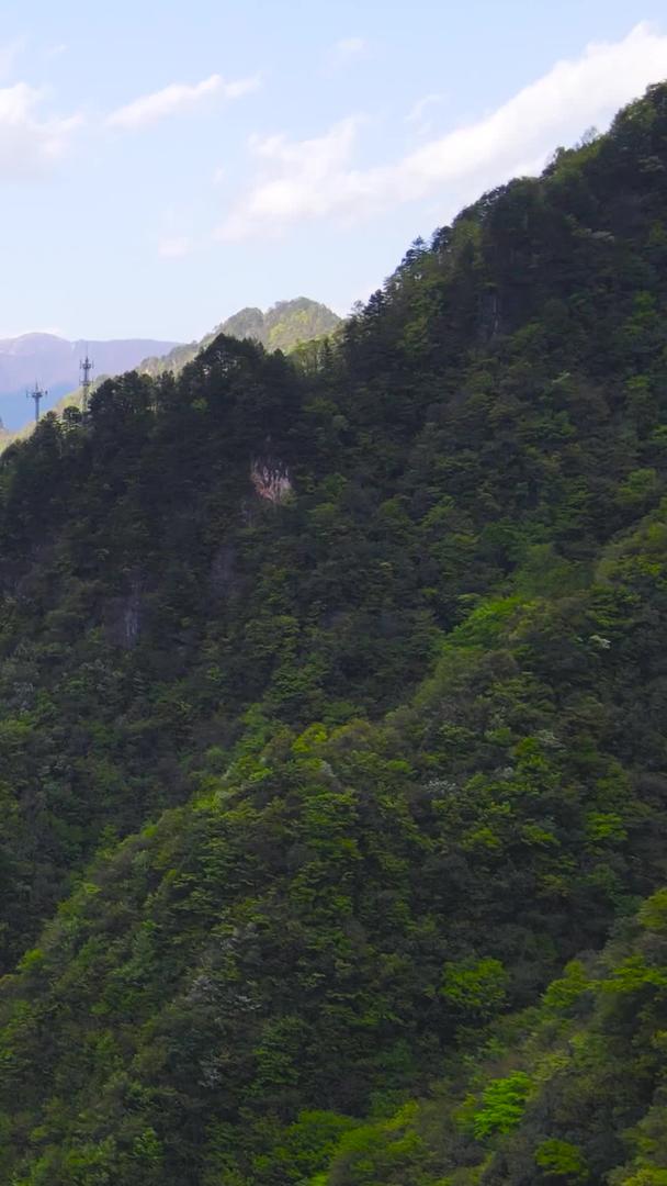 5A景区神农架原始森林航拍延时集合视频的预览图
