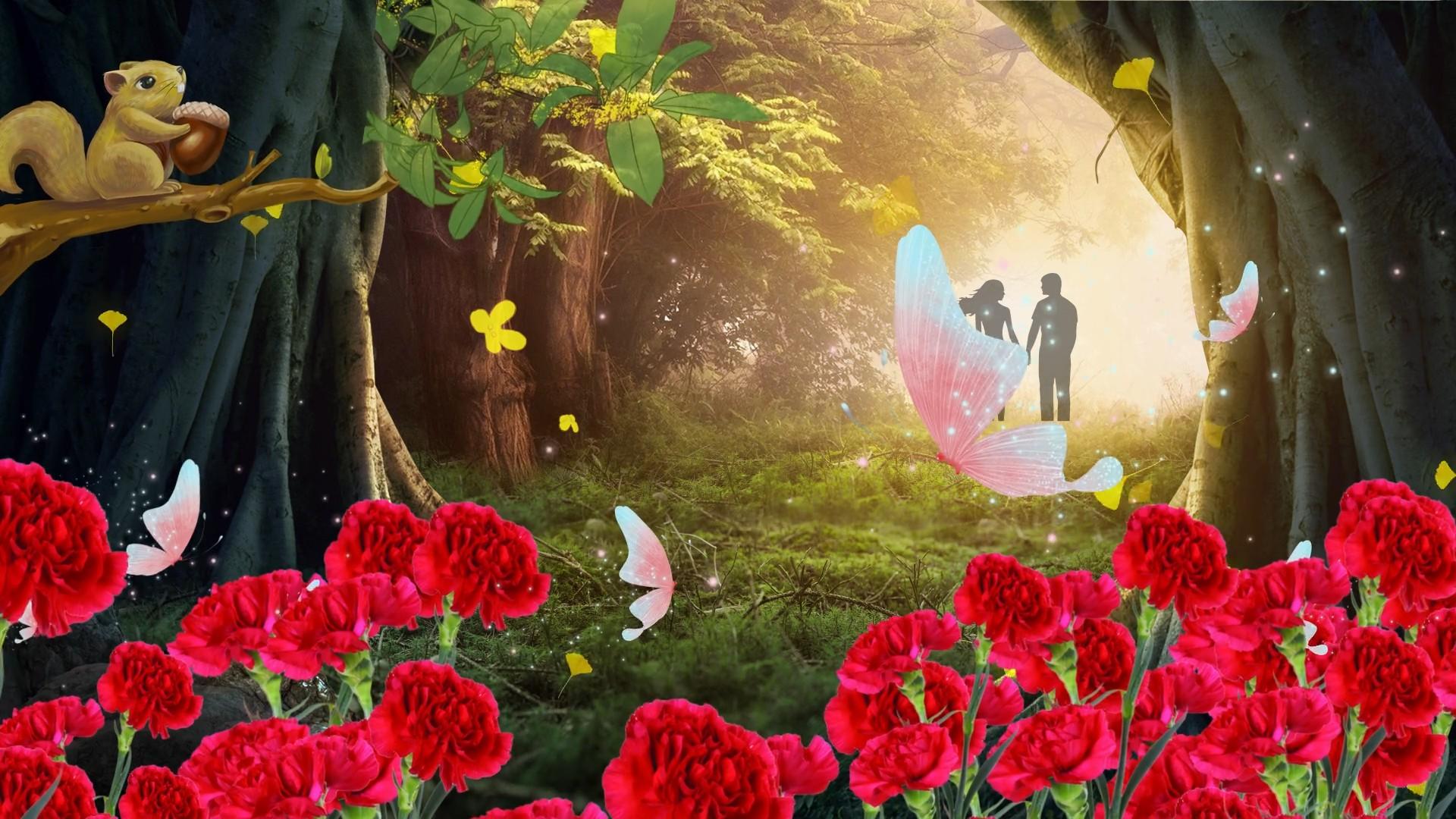 梦幻森林情侣唯美led背景视频的预览图
