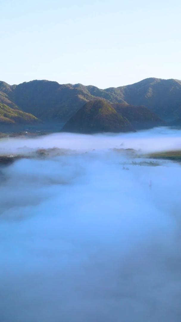 湖北5A景区神农架大九湖清晨雾航拍环绕视频的预览图