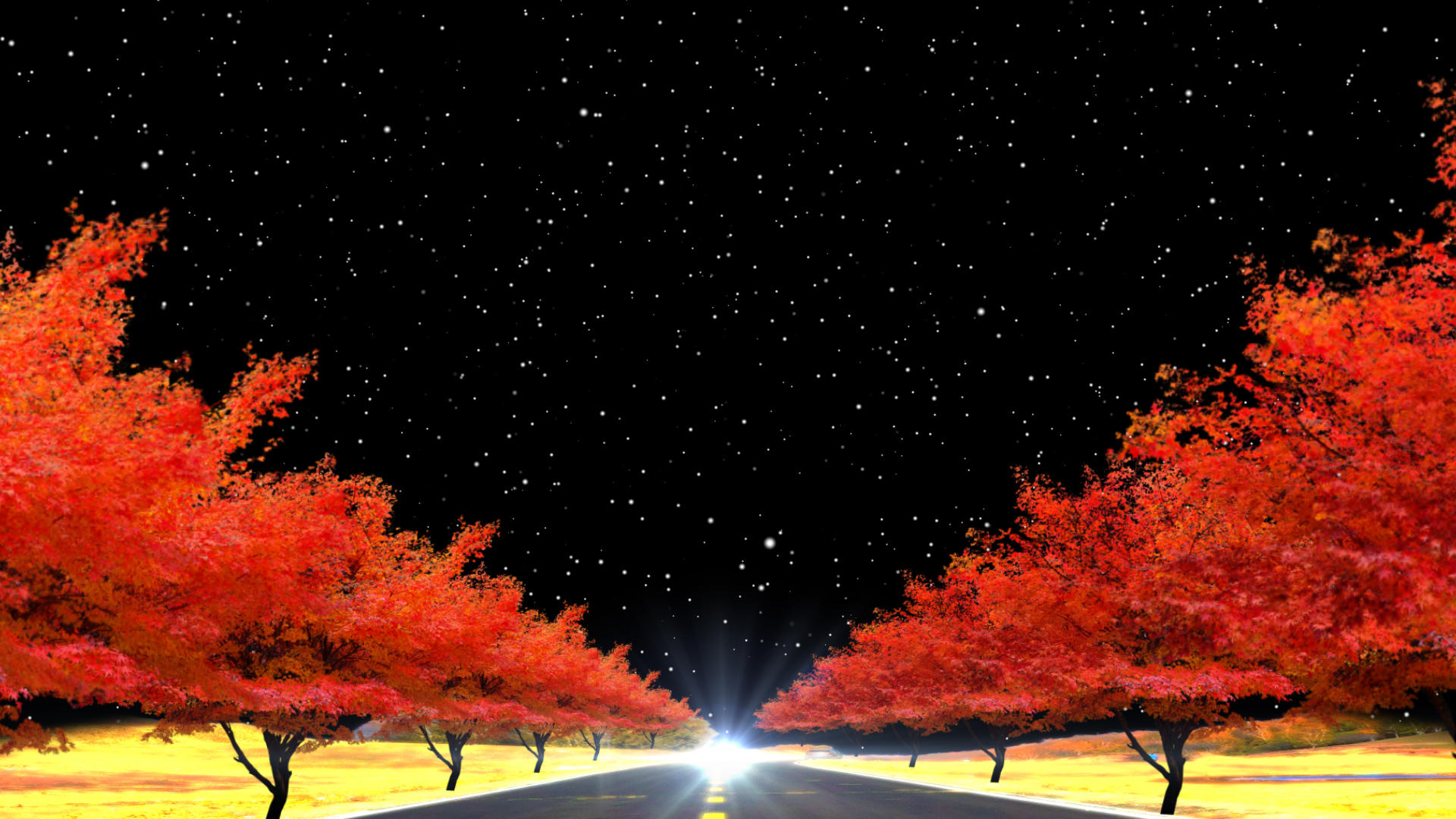 秋天红枫树舞台背景视频的预览图