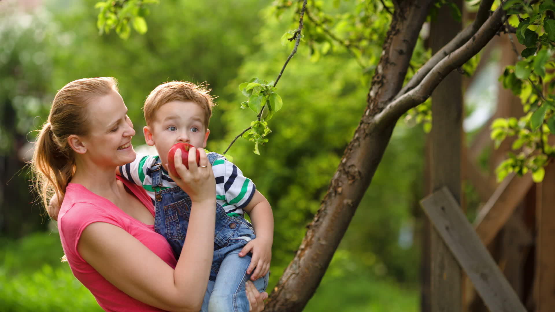 母亲在花园里用苹果喂儿子视频的预览图
