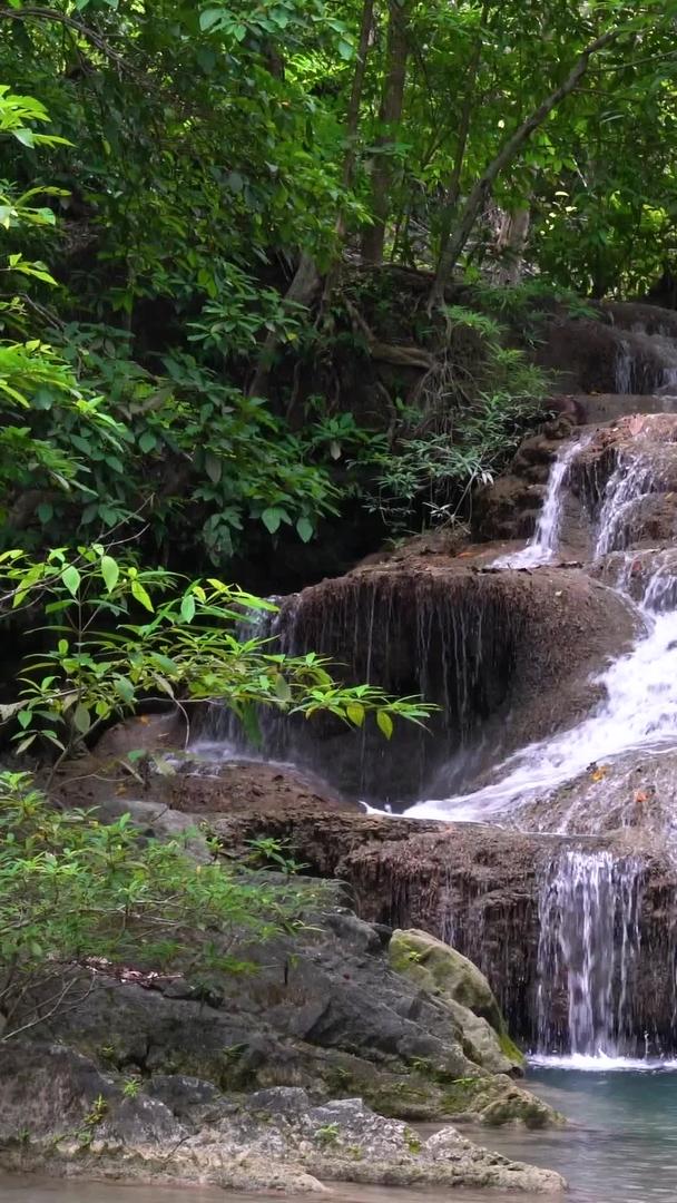 在热带雨林森林中瀑布实拍有声音视频的预览图