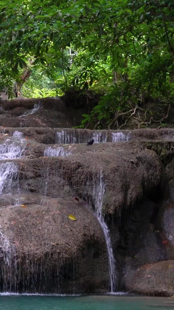 在热带雨林森林中瀑布实拍有声音视频的预览图