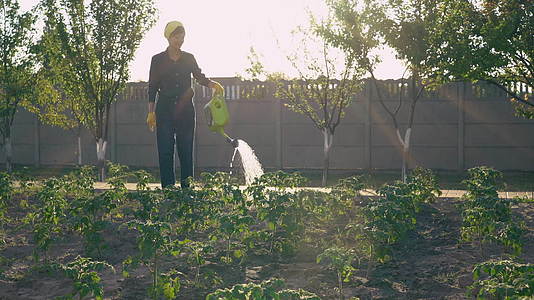 园艺夏令季种植者视频的预览图