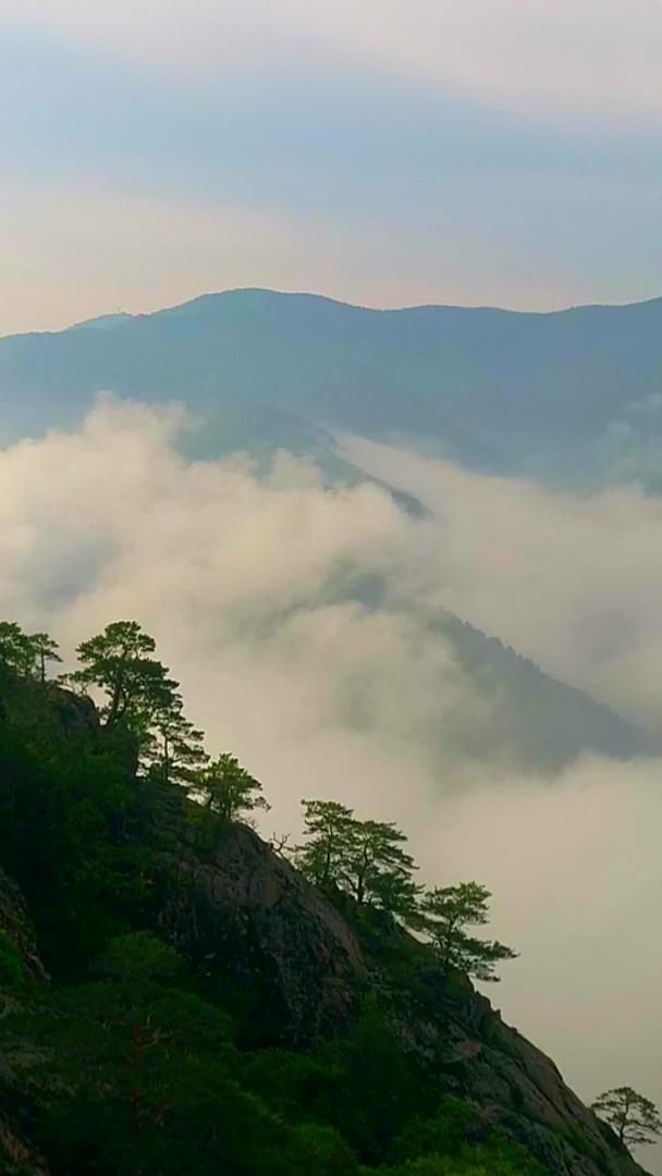 山中航拍云雾视频的预览图