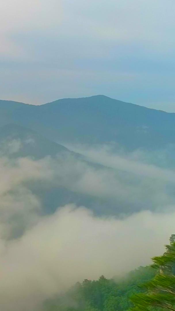 山中航拍云雾视频的预览图