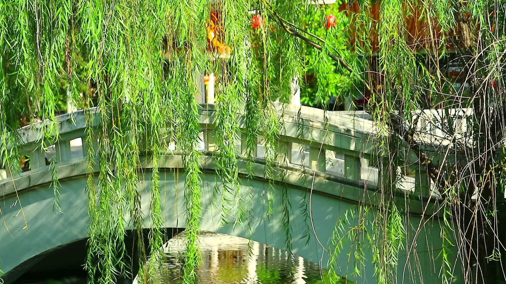 花园里的桥式混凝土和柳树摇摆视频的预览图