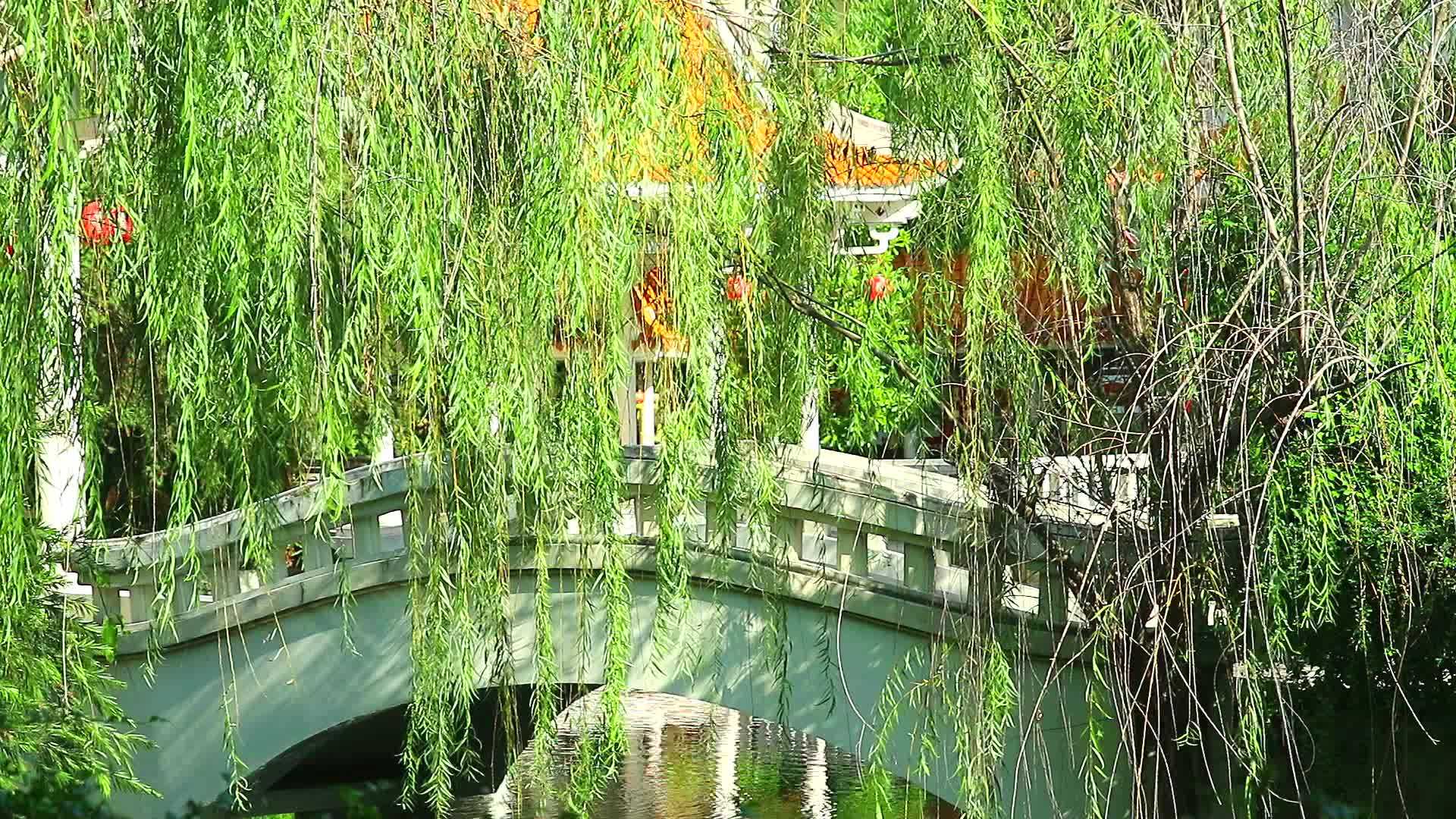 混凝土桥风格和花柳在花园中摇摆视频的预览图