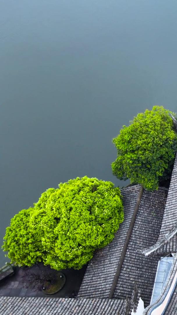 宁波市5A景区月湖内佛教居士林景区航拍视频的预览图