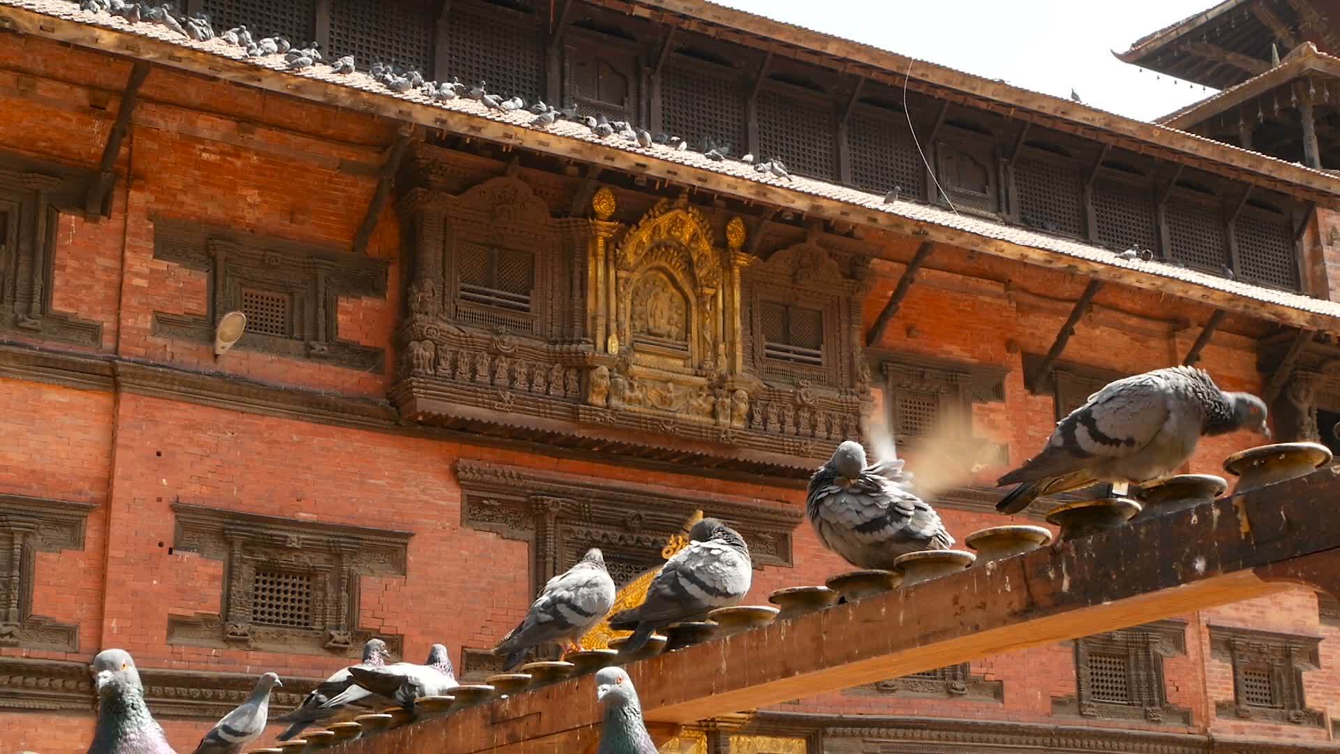 美丽的印度教寺庙屋顶在阳光下视频的预览图