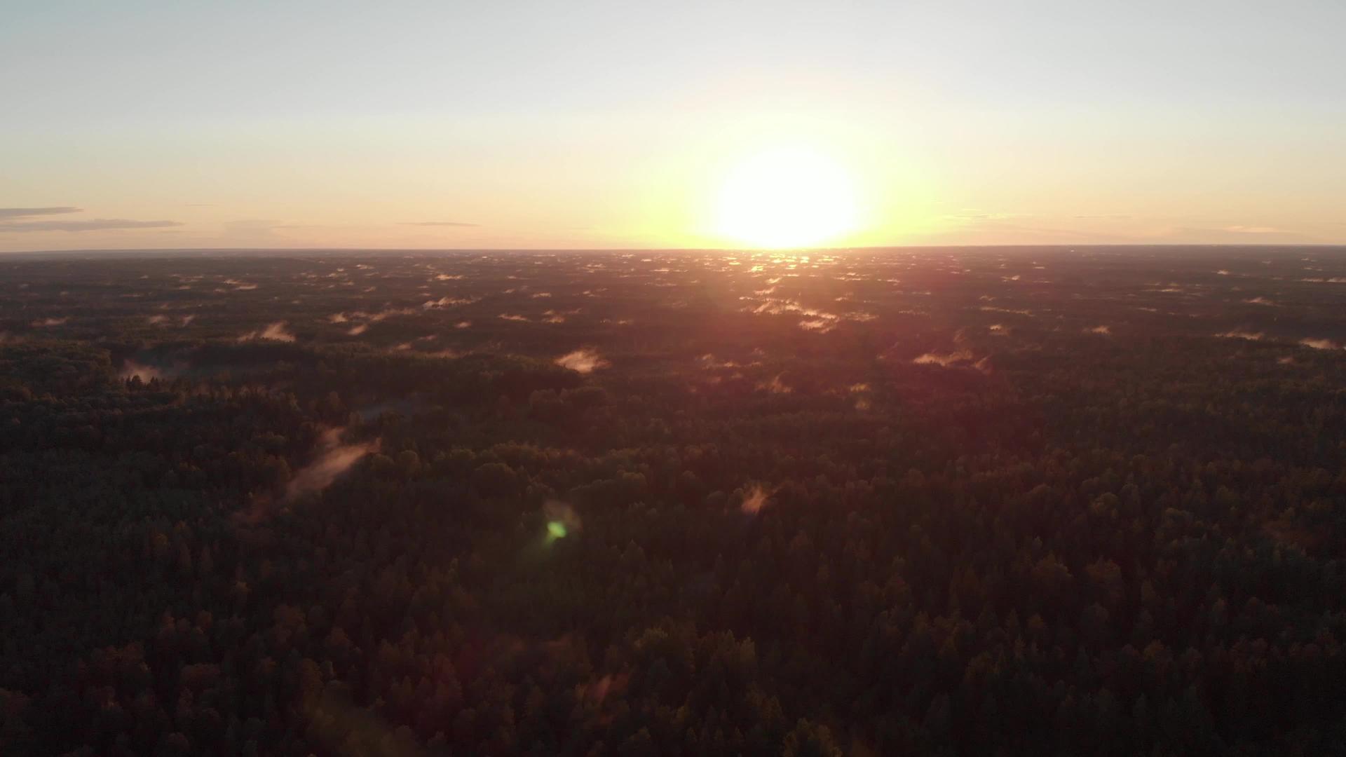 在金色的日落之上静态的空中飞行云漂浮在树顶的背光下视频的预览图