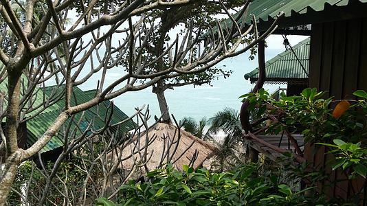 可爱的明媚的日子里热带树木附近可爱的小屋位于丛林中视频的预览图