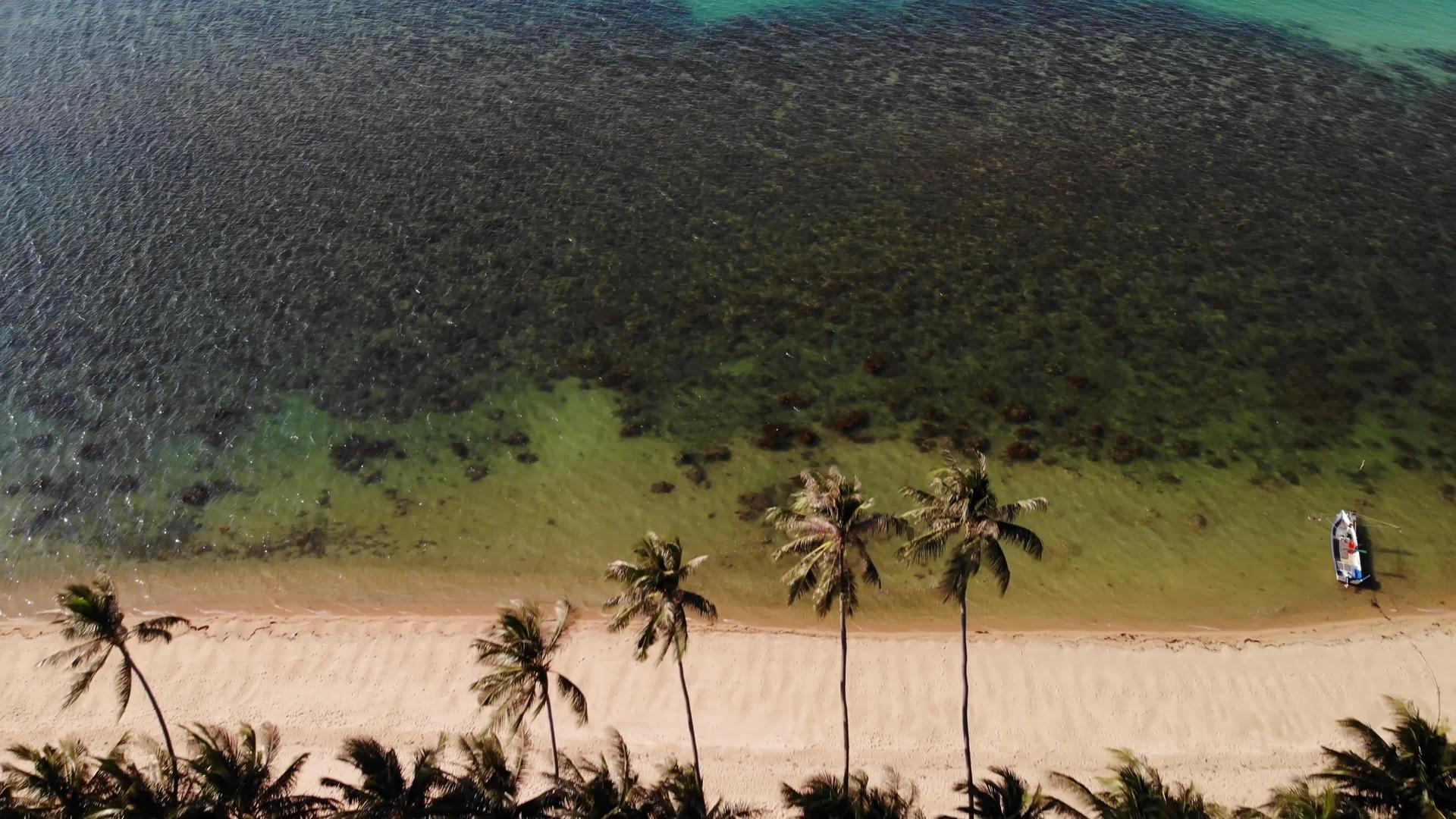 无人驾驶飞机在阳光明媚的假期观看了宁静的海边视频的预览图